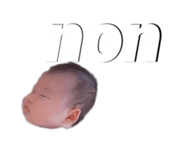 704677519