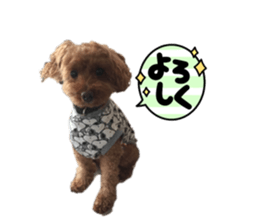 704678064