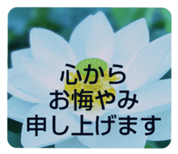 704690545