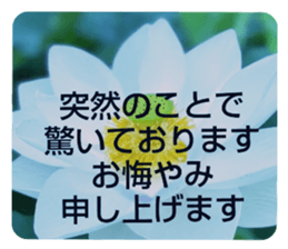 704690547