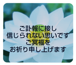704690555