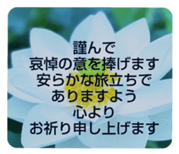 704690557