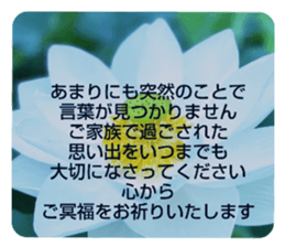 704690559