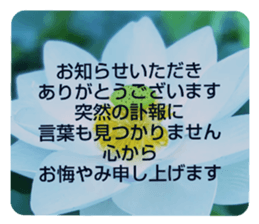 704690560