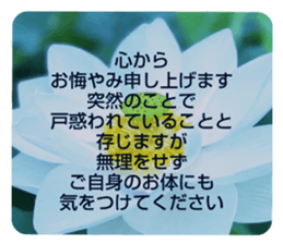 704690561