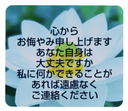 704690567