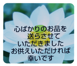 704690577