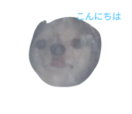 704746198