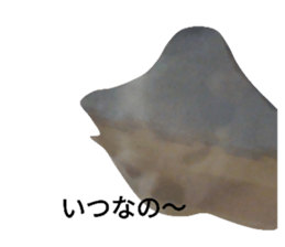704746203