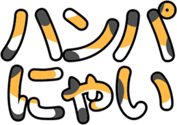 70477470