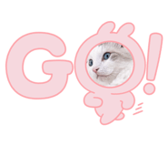 704792200