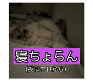 704822683