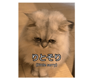 704822685
