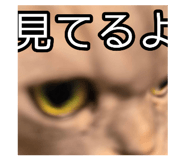 704822693