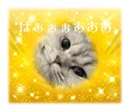 704825179