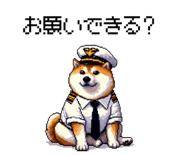 704852904