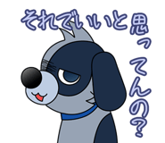704864233