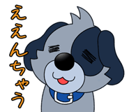 704864237