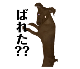 704888348