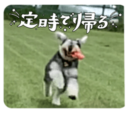 704888910