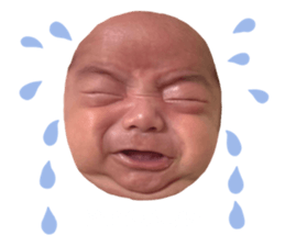 704889156