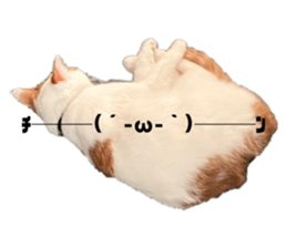 704894940