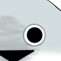 704944504