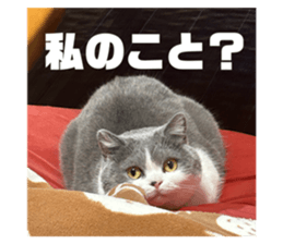 704962410