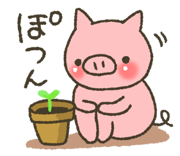 7049892