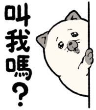 704991857