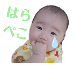 705000126