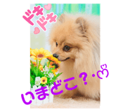 705002293