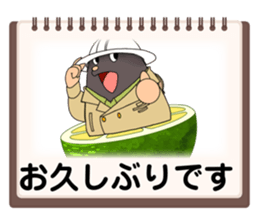 705006635