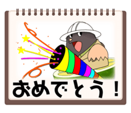 705006636