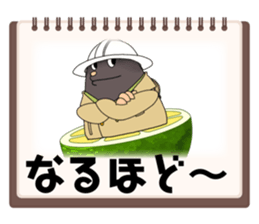 705006638