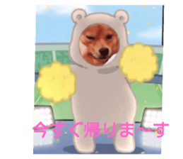 705017131