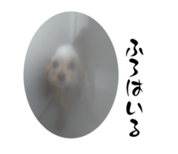 705023195