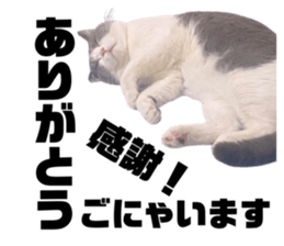 705025652