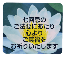 705031933