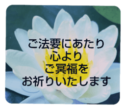 705031938