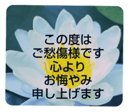 705031942