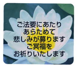 705031944