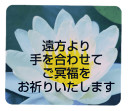 705031946