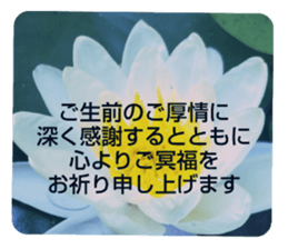 705031947