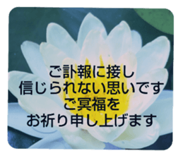 705031949