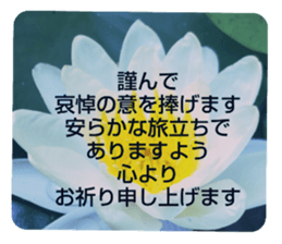 705031951