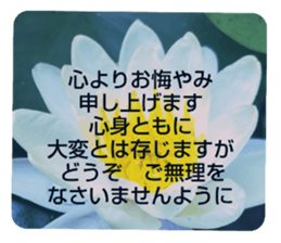 705031952