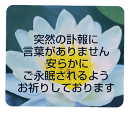 705031953