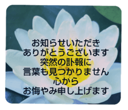 705031955