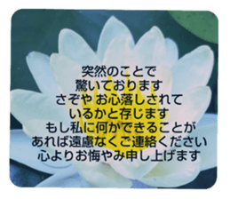 705031960